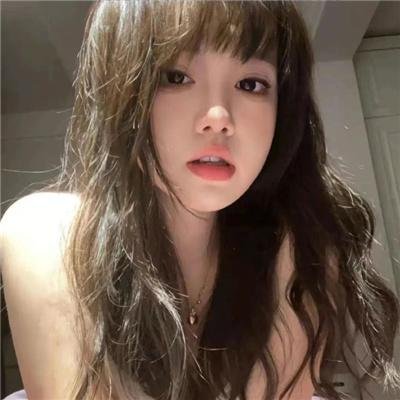 野狗们